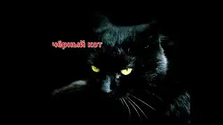 Страшная История На Ночь 