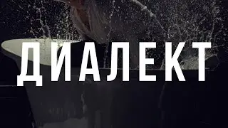 Эдгар Винницкий - ДИАЛЕКТ