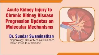 Acute Kidney Injury to Chronic Kidney Disease Progression Updates on Molecular Mechanisms