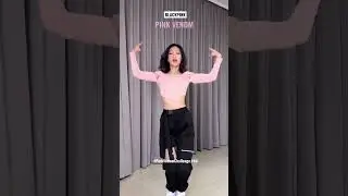 BLACKPINK 'PINK VENOM' Dance Cover 