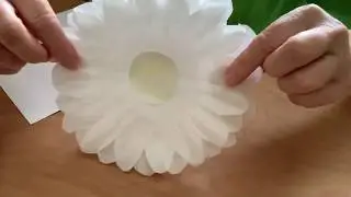 Ms Debbie- Coffee Filter Daisy