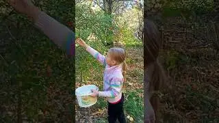 Зачем покупать: ну очень хороший барбарис🍂 для плова мы собрали и совсем за так!