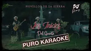 Los Inicios Del Guerito-Novillos De La Sierra-Karaoke🔥🎤