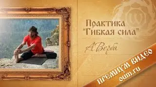 Практика хатха-йоги с Андреем Верба. Гибкая сила