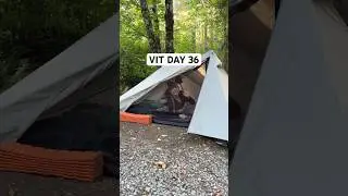 Day 36 on the Vancouver Island Trail! #shorts