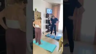 Анатомические поезда