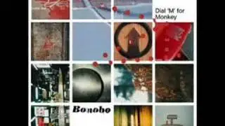 Bonobo - Nothing Owed