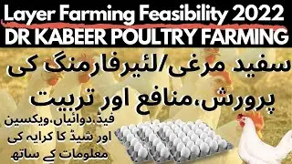 Layer Farming Feasibility 2022 in Poultry Farming Pakistan | Poultry Farming in Pakistan 2022