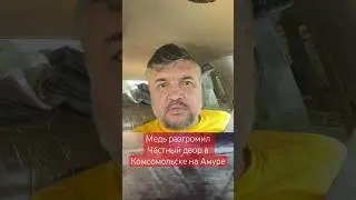 Медведь в Комсомольске на Амуре разгромил частный двор и съел домашнюю живность