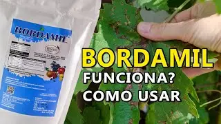 Bordamil a Calda Bordalesa Pronta. Funciona? Como usar