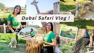 Dubai Safari Park Tour 2024 | Dubai Zoo | Dubai Wildlife Safari