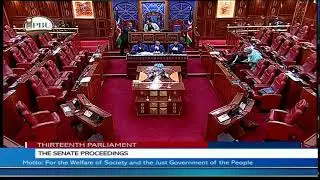 The Senate Plenary, Wednesday 7th June 2023. Afternoon Session.