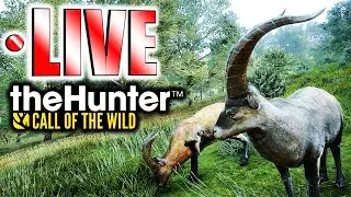 Hunting for Our Diamond Grand Slam LIVE