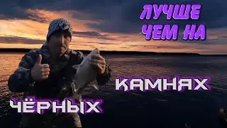 РЫБАЛКА. КЛЕВ ЛУЧШЕ ЧЕМ НА ЧЕРНЫХ КАМНЯХ!!!