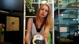 Teil 1!!! Mein erstes Pferd, was brauche ich? Riesen XXL 