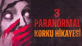 3 Paranormal Horror Stories