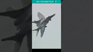 When a Russian Pilot Took Away a MiG-29 Fulcrum To Turkey