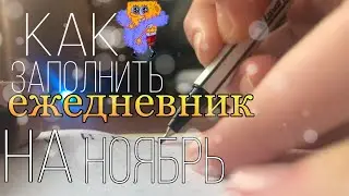 Как заполнить ежедневник на ноябрь | новый дизайн | Дуся