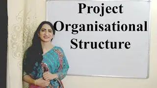 Project Organisational Structure