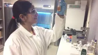 Paras N. Prasad, PhD - Prasad Team: Success Story