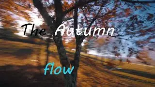 The Autumn flow