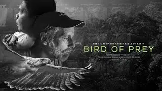 Bird of Prey