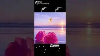 Душа❤️