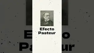¿Qué es el EFECTO PASTEUR? #datoscuriosos #levaduras