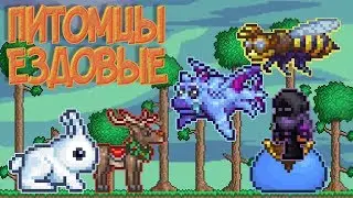 [Terraria Гайд] ЕЗДОВЫЕ ПИТОМЦЫ (Mounts)