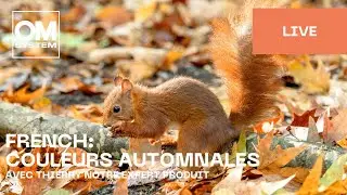 French | Couleurs automnales
