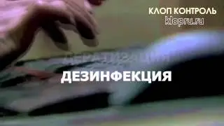 Дезинфекция, Дезинсекция, Дератизация! +7(499)-686-03-71