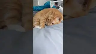 That look he gives me at the end 🥲