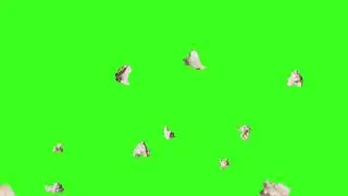 Popping Popcorn Green Screen 