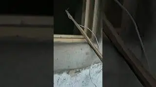растопил печь баню штатно