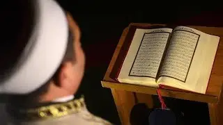 قرآن كريم قبل النوم راحة لا توصف | 11 ساعة