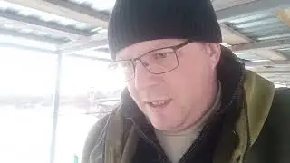 20 января. потерь нет. расплода нет. что с кормами?))