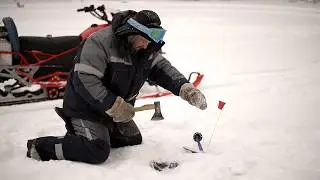 Жесть, если оставить жерлицы  на сутки. Что потом?  Рыбалка декабрь 2019
