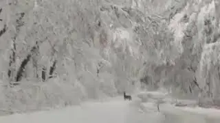 Iarna pe drum. Intre Babadag si Slava Cercheza  Tulcea 2020