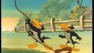 Heckle & Jeckle   House Busters