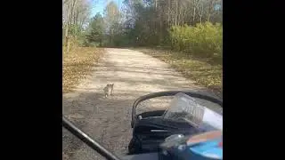 Another adventure of cooper and his old fart Enjoying a full day.