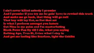 Lil Wayne - Hustla Musik (KARAOKE)