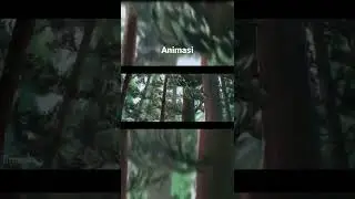 animasi Kimi no nawa | 