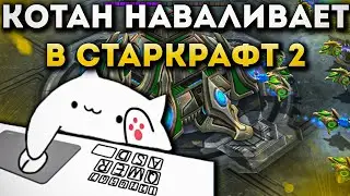 Котан в СТАРКРАФТЕ 2