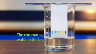 Let us demonstrate chromatography