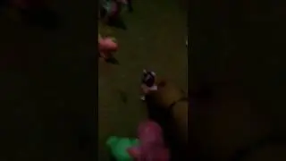 Mlp-first day of school-pony garden school-up 3