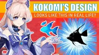 Kokomi's Design Looks Like...