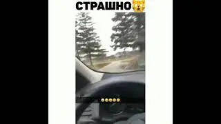 Страшно