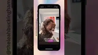 Instagram tutorial - uploading live photos to Instagram reels and stories