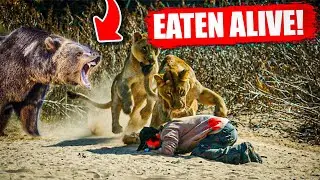 He Was ATTACKED By Mountain Lion But This Bear SAVED Him
