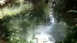 Gimp jumps in water.